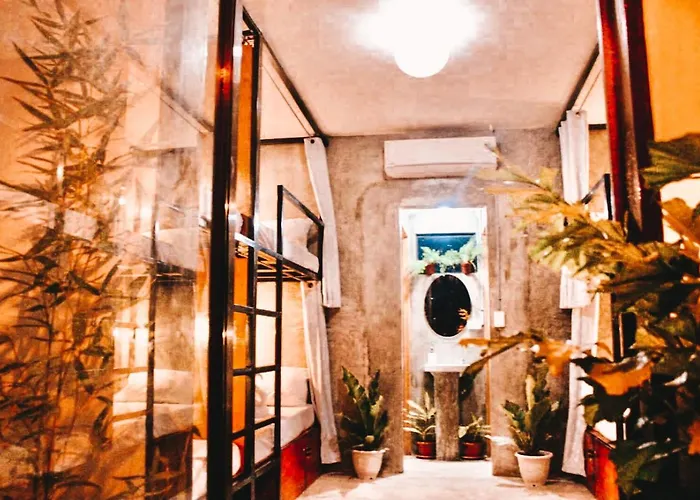 The Hangover Hostel